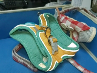 透氣減壓胸背帶