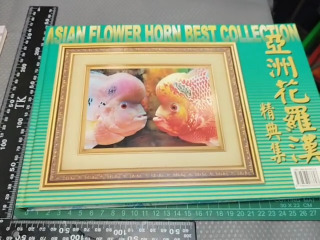 花羅漢精選
