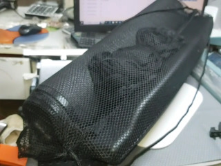 靜電滑步訓練墊