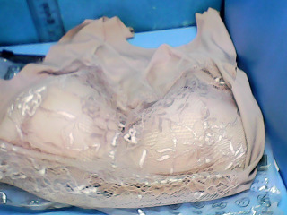 內衣(4L)不試穿