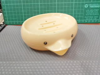 鴨子