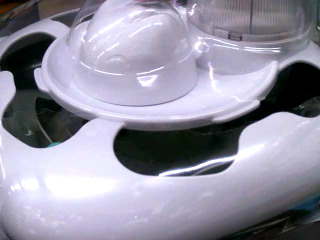 寵物蟲蟲捕獵機