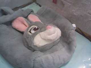 袋