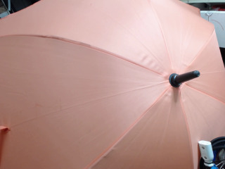 傘