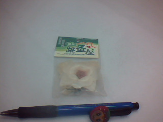 項鍊