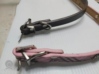 狗狗系列項圈