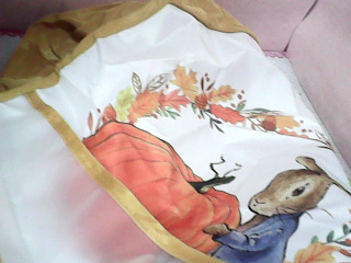 圍兜兜
