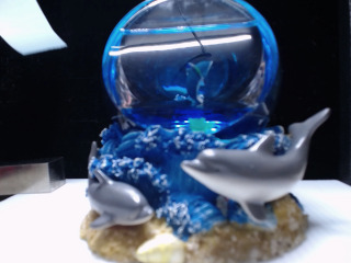 海浪中的雙層海豚