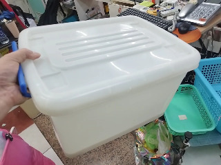 白色附蓋透明收納箱