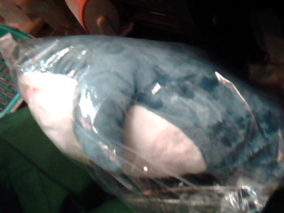 娃娃