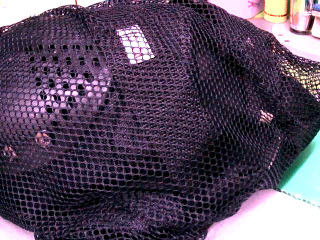 直排輪護具