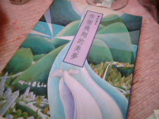書-做個飛翔的夢