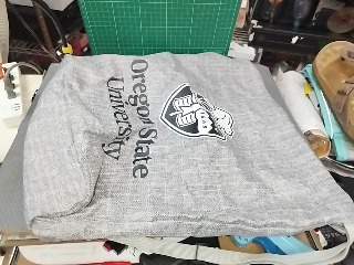 大學印花帆布包