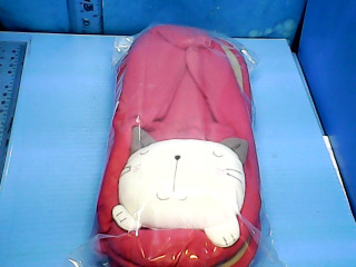 室內脫(不試穿)