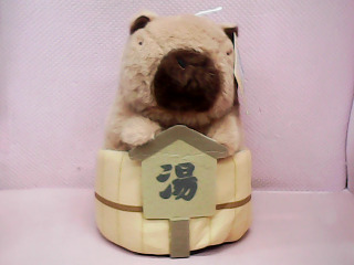 玩偶
