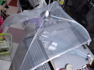 可折疊的食物罩