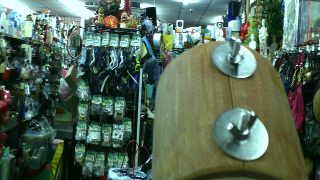 鳥屋