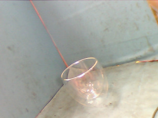 杯