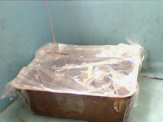 寵物用品