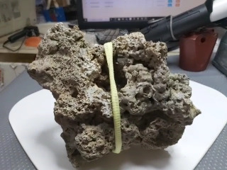 水族造景咕咾石