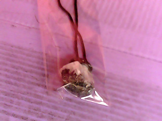項鍊