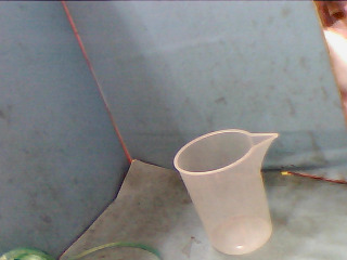 杯