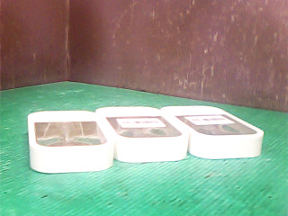 隨身噴霧器-單售