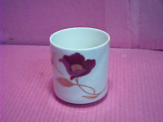 杯