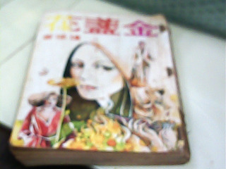 瓊瑤小說 金盞花