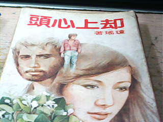 瓊瑤小說 却上心頭