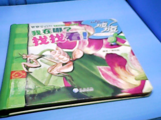 童書-我在哪 找找看
