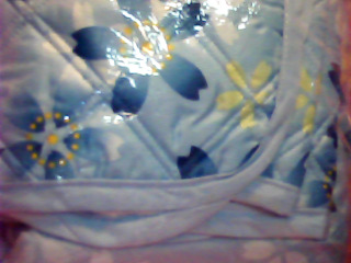 雙人保潔墊+枕套