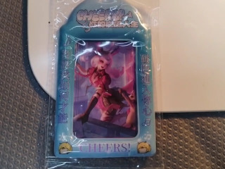 奇遇人生證件套