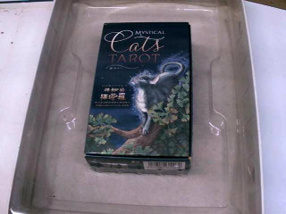 神秘的貓塔羅