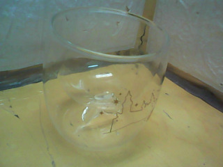 杯