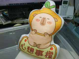 心想事橙水豚抱枕