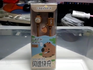 水豚閃速快充線