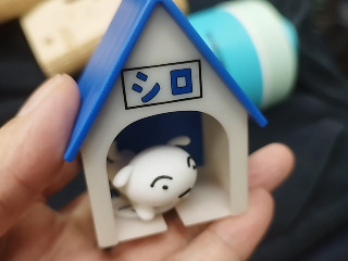 小白狗屋