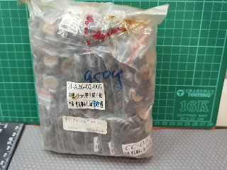 16雙孔椰子扣