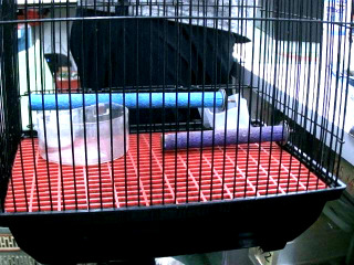 鳥籠