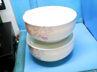 瓷碗+矽膠蓋-單售