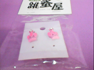 全新耳環