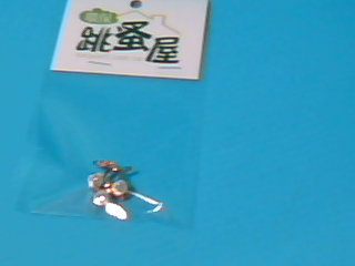 胸針