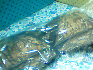 全新女性內衣+內褲