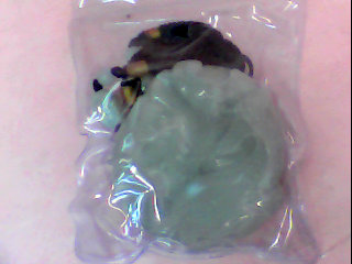 冰種魚躍龍門項鍊