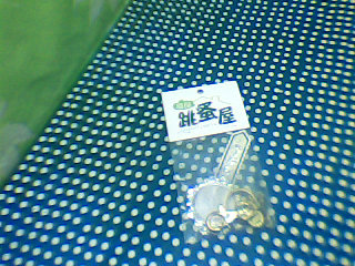 飾品