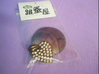 墬子