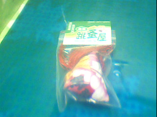 吊飾