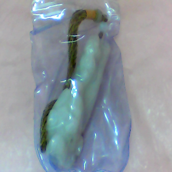 羊脂玉祥龍獻瑞