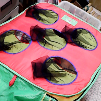 用品